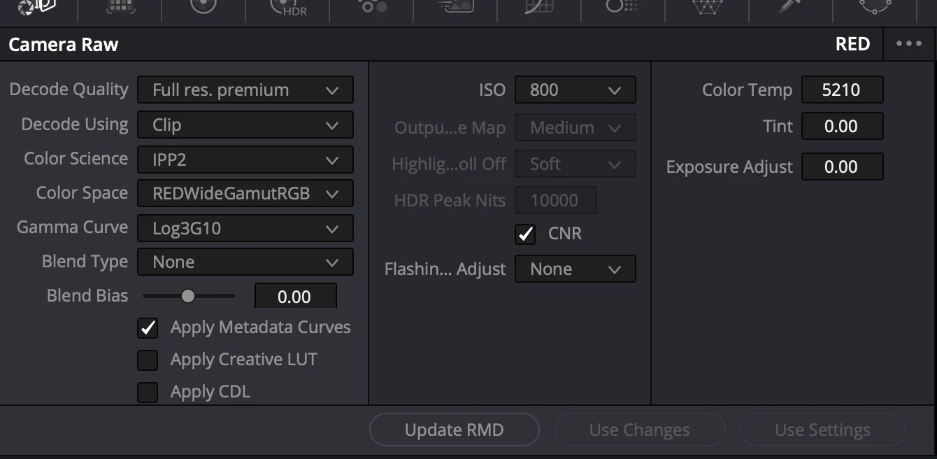 DaVinci Resolve Camera Raw panel for a converted clip with ISO, color temperature, tint and exposure controls